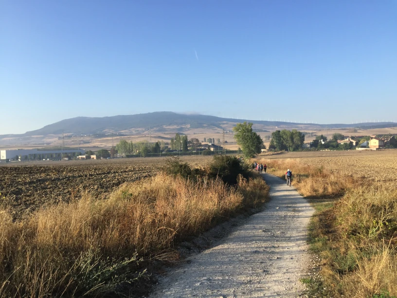 This is an image of 
                the path on the Camino de Santiago.